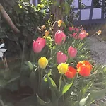Privat Apartment- Near Strasbourg, Baden Baden Διαμέρισμα Rheinau