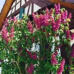 Privat Apartment- Near Strasbourg, Baden Baden Διαμέρισμα *