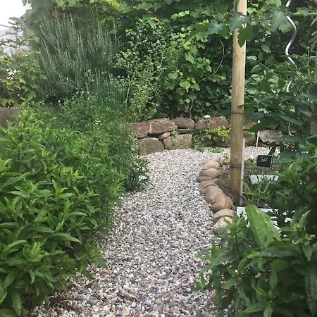 Privat Apartment- Near Strasbourg, Baden Baden 아파트