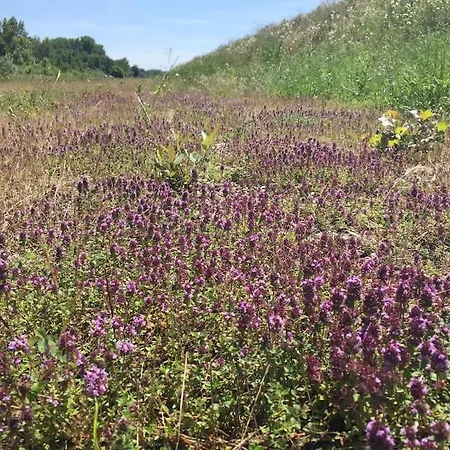 Privat Apartment- Near Strasbourg, Baden Baden 아파트 라이나우