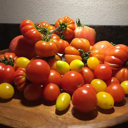 Privat Apartment- Near Strasbourg, Baden Baden * 라이나우