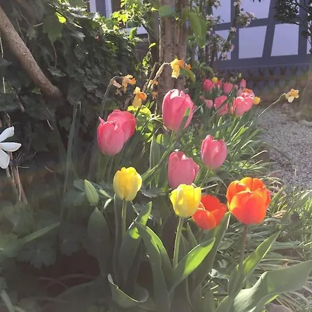 Privat Apartment- Near Strasbourg, Baden Baden 아파트 라이나우