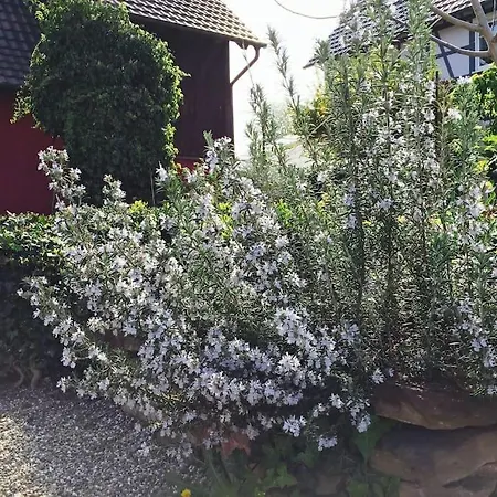 아파트 Privat Apartment- Near Strasbourg, Baden Baden *