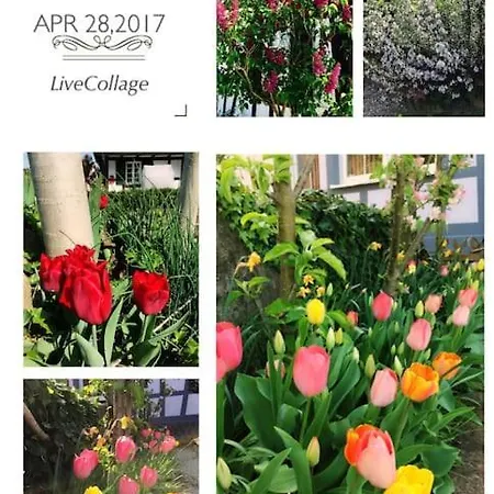 Apartment Privat Apartment- Near Strasbourg, Baden Baden