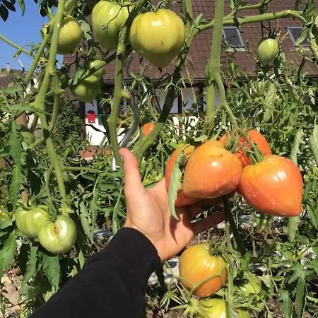 Privat Apartment- Near Strasbourg, Baden Baden